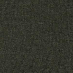 fir green colour sample