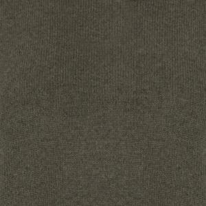 fir green colour sample