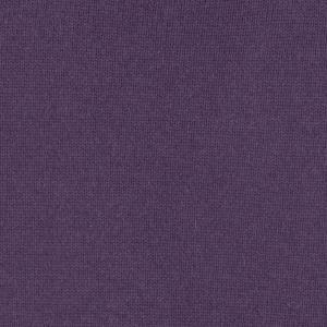 plum colour sample