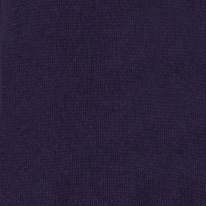 blueberry colour sample