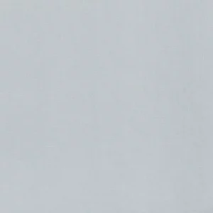 Pale Blue